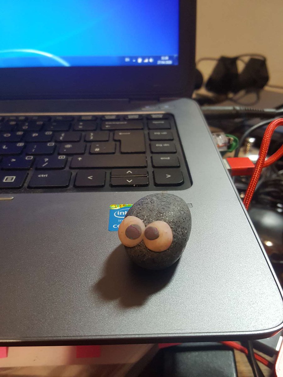 SHU_LizL's tweet photo. I made a #rockpet #mascot for @geolsoc #geobakeoff because #TeamHouseRaptor is hogging all the googly eyes! https://t.co/Vz6g4DGxQb