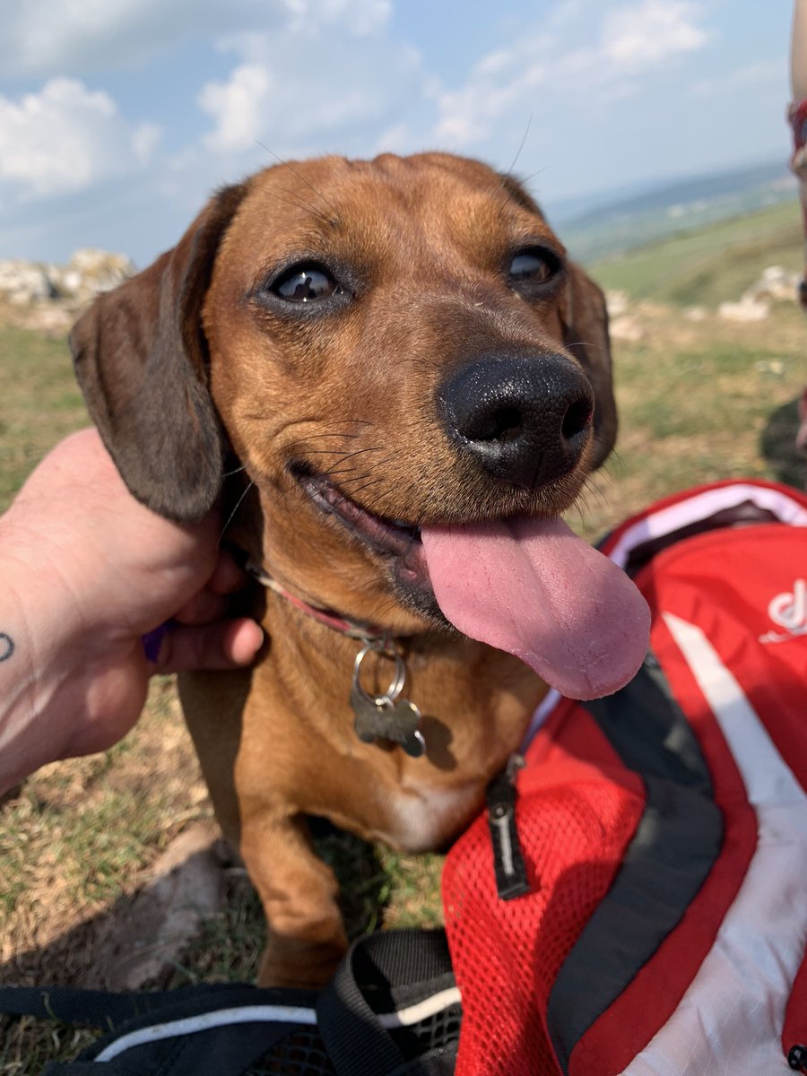 A great walk up to Crook Peak on Saturday!