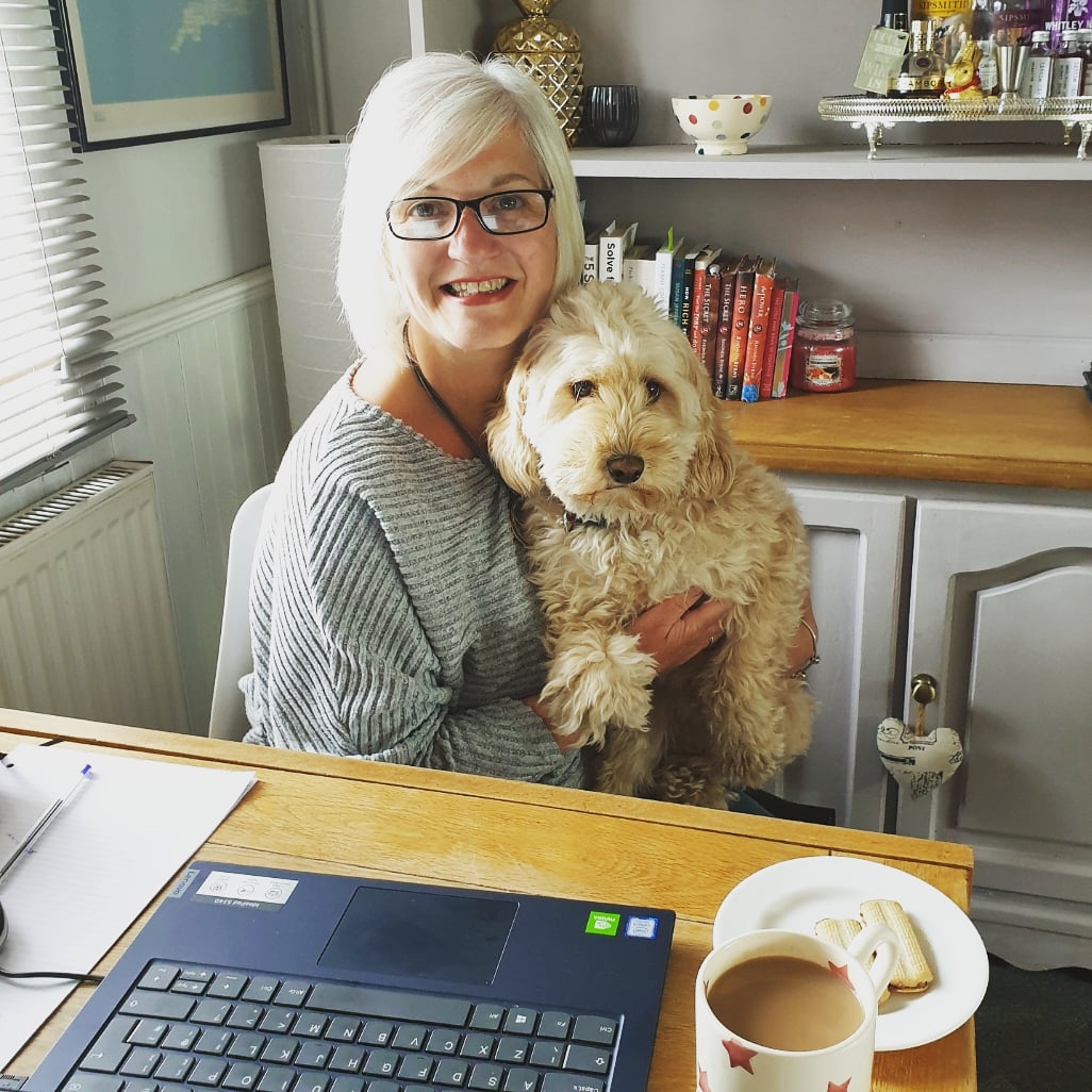 Broad Oak Sales & Lettings tweet media