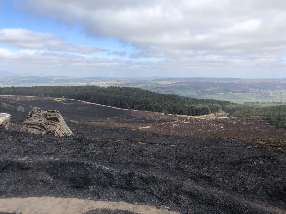 Simonside Hills after the fire. I’m lucky to have this on my doorstep, on this walk it was just me and didn’t see a single soul. #simonsidehills #northumberland