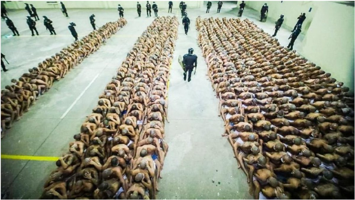 El Salvador'daki bir hapishaneden bu görüntüler.
İlkel ülke !
Hayvanlıktan insanlığa geçişte herkes aynı hızda değil.
Artık Jedi'lara ihtiyacımız var. Her yer Otokrat doldu.