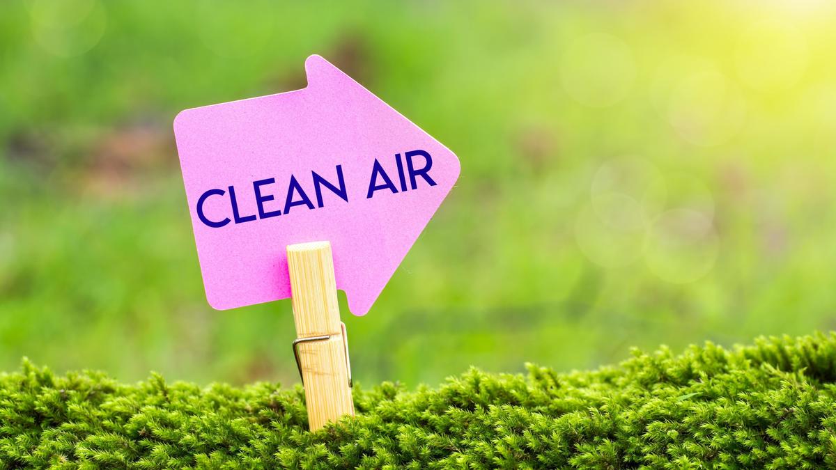 #Salute : aziende come <a href="/NuvapSystem/">Nuvap</a> e tecnologie <a href="/AirliteItalia/">Airlite</a> si occupano di migliorare l' #inquinamento #indoor per una maggiore qualità dell'aria e quindi dello status di salute.
i dettagli civiltadicantiere.it/articles/non-s…
#airsafe #home #virus #casa