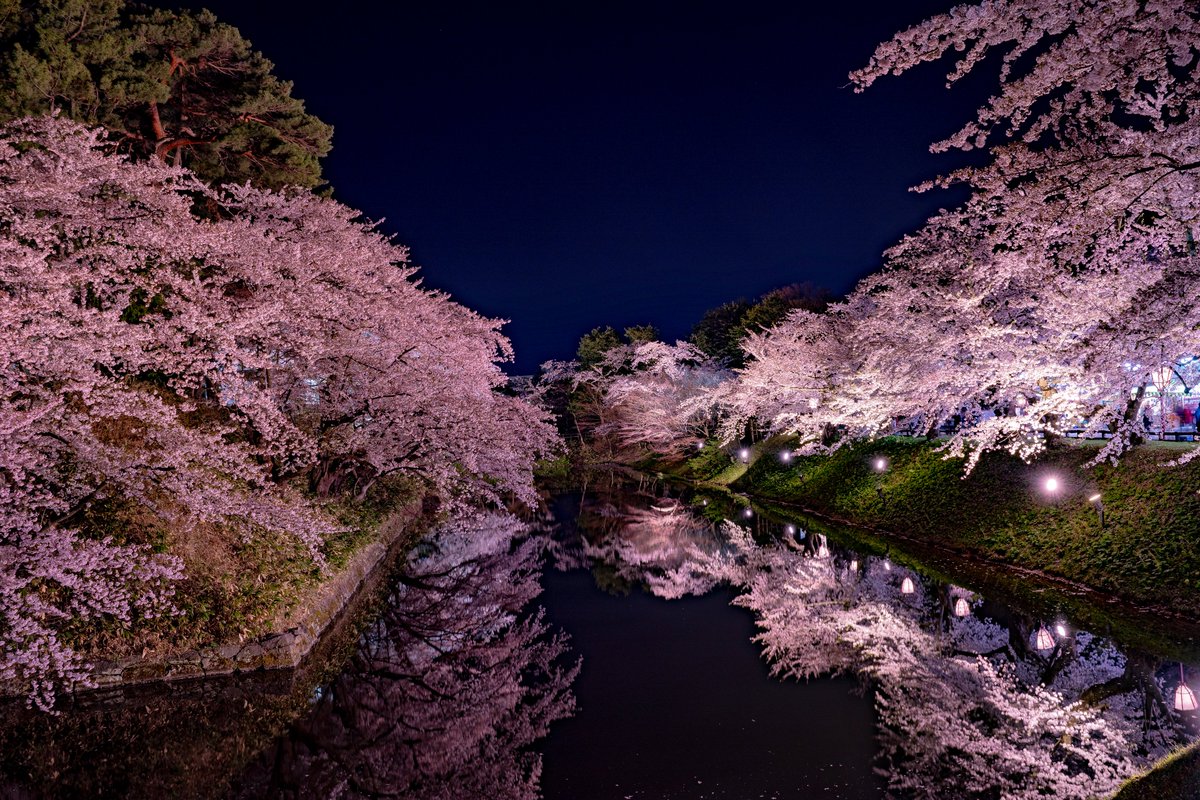 Uminchu2000's tweet image. ちょうど1年前の今日。昼過ぎに代官山でライブを観たその足で弘前へ直行した僕は、遅くまでウヒャウヒャ言いながら夜桜を撮っていたのでした。今年はCOVID 19の影響でさくらまつりは中止、弘前公園は閉鎖され、ライトアップも無いそう...来年だな、来年。
#オンライン花見 #弘前城