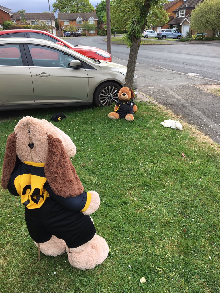Today Dfer and his household friends have gone all ‘jumpers for goalposts’ and put on their <a href="/Balsallfc/">AFC Balsall</a> kit for a game of football in the garden.