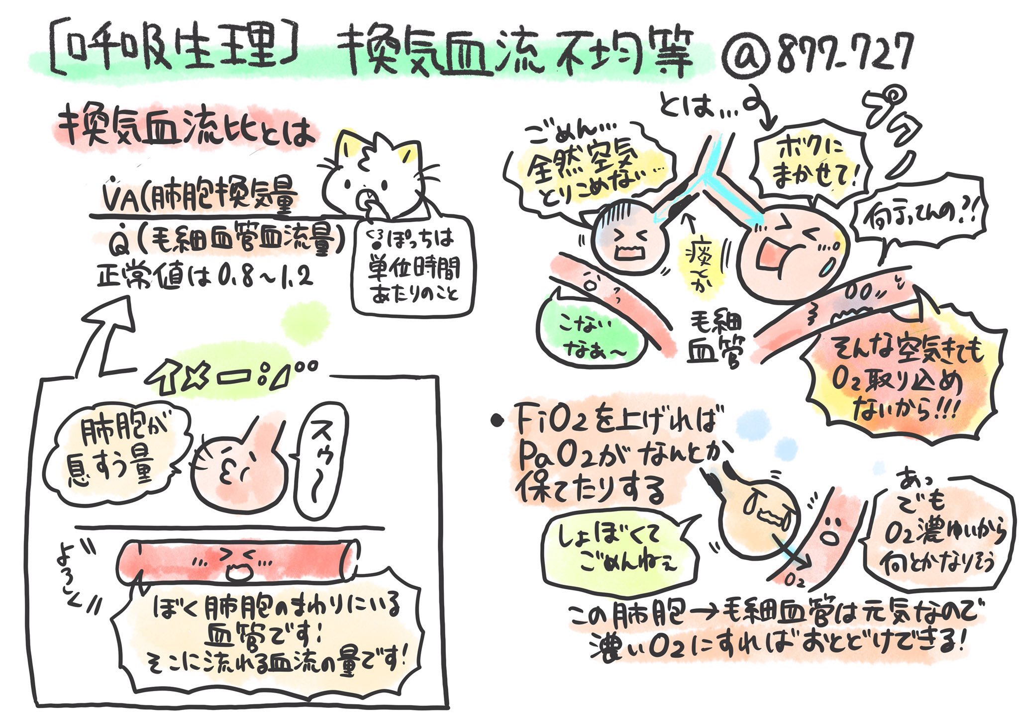看護師のかげさん イラスト看護帖書籍化 低酸素血症 換気血流不均等 かげの呼吸生理講座1 換気血流比不均衡やvqミスマッチと呼ばれるもの 肺胞換気量と血流の均衡がとれていない A Ado2は開大するけれど酸素吸入でpao2は改善する 気道 肺胞系 肺