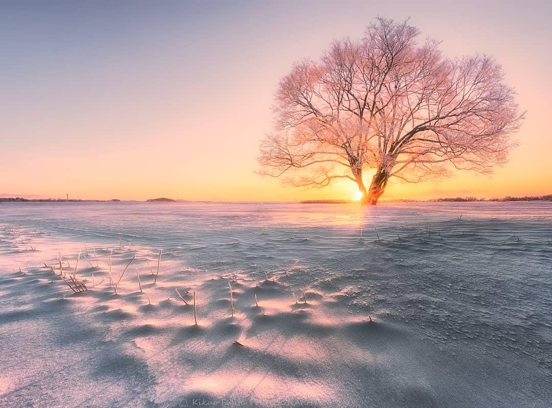 mendy_hokkaido's tweet photo. #お気に入り作品ベスト4を貼る 
思い入れのある写真が多すぎるので、冬フォトに絞ってまとめました☃❄️
#SonyAlpha #北海道 https://t.co/cuYmo8xC28