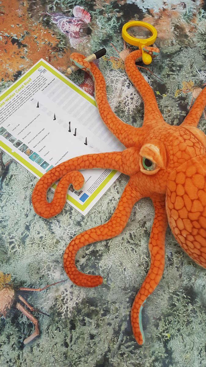 Today's #ATLASatHome challenge is to dive into the world of #deepsea #ColdWaterCoral reefs to find as many creatures as you can! All activities free, at eu-atlas.org/education/acti… #HomeSchooling #HomeScience #Coral #SchoolsOutScience #OnlineLearning #MondayMotivation