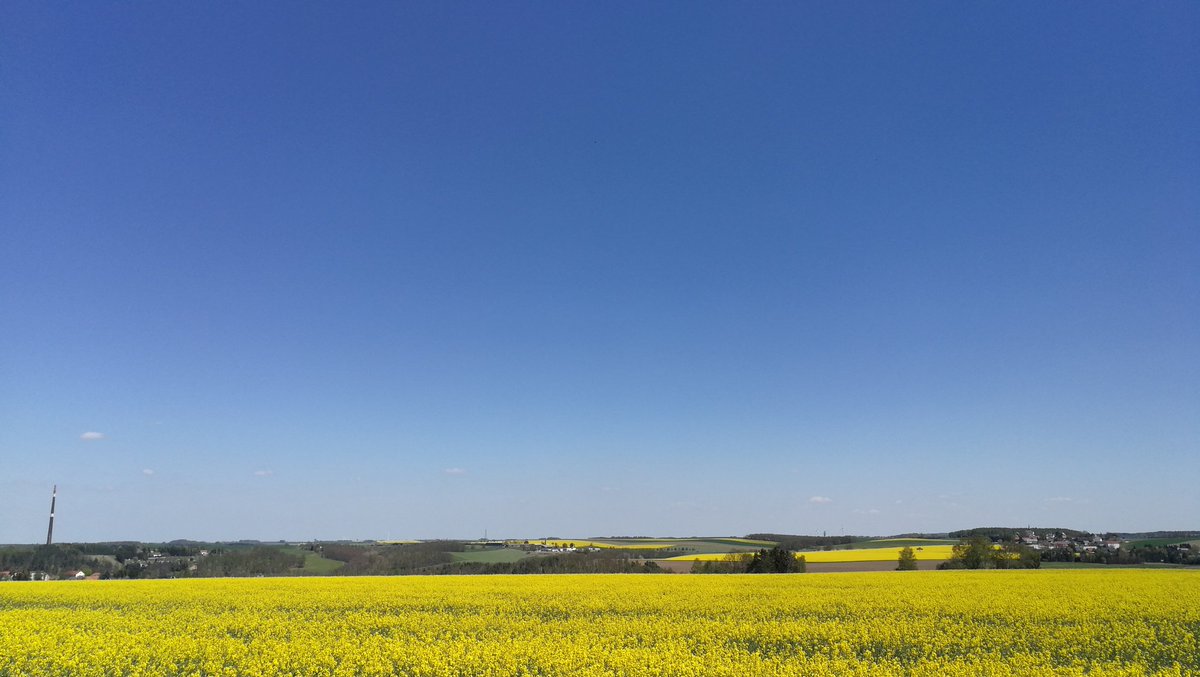 halsbruecke's tweet photo. mahlzeit liebe #zwitscherbande
das obere #muldental bei #freiberg in #mittelsachsen meldet südlichen wind und knapp 20°c 👌🏻🌞
@Kachelmannwettr
@Kachelmann
@chemnitzwetter
#vereinigtehagel
mit dem fahrrad zur arbeit 💪🏻 🚲 🌲 🌳 💛💚💙 #mdrza #mtb #ohnemotor ☝🏻☝🏻☝🏻nix #ebike 🤣 https://t.co/wFIOk4LP55