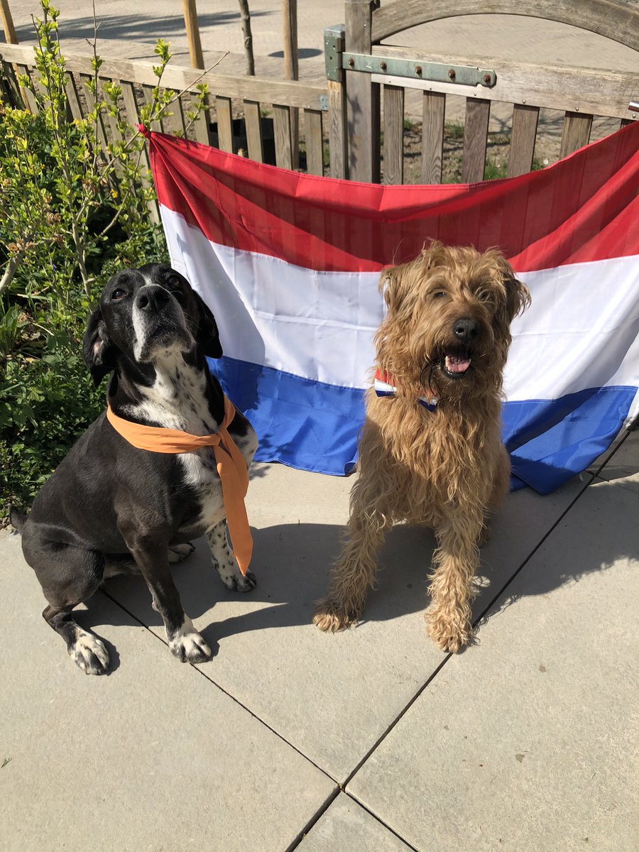 Happy Kingsday! #Koningsdag  #Koningsdagthuis #koningsdag2020