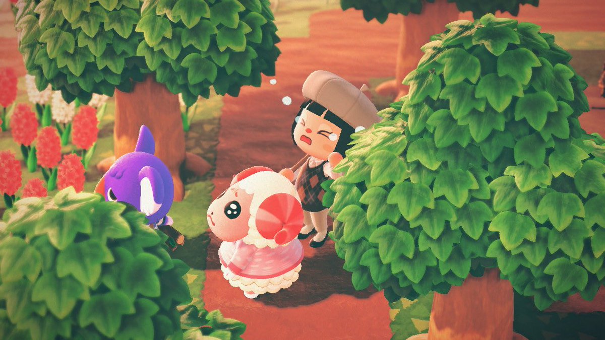 kanamaruuu_'s tweet photo. 表情豊かなちゃちゃまるをお楽しみください。
#あつまれどうぶつの森 #AnimalCrossing #あつ森 #どうぶつの森 #どう森 #ACNH #ちゃちゃまる https://t.co/bJf4wFD47G
