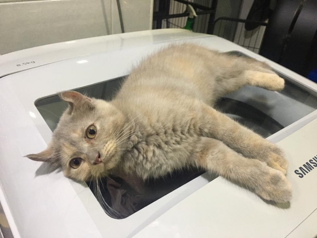 1khw9n's tweet photo. Hai Uncle Aunty, Comel tak kita 😍 selamat berbuka puasa semuanyaa yer.. https://t.co/36wiKZuSPT