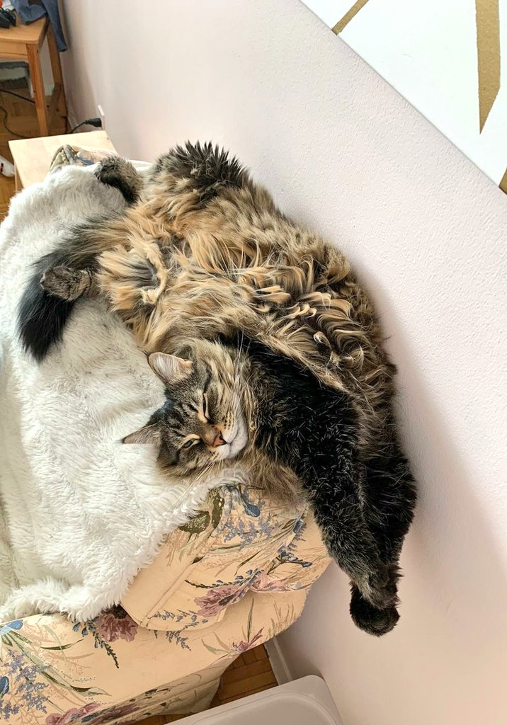 Sensor Health tweet media