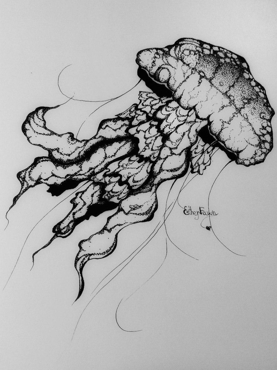 FawnEsther's tweet photo. #BlackandWhiteart https://t.co/PbugupQ7Hg