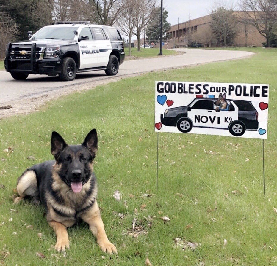 novipolice's tweet photo. Very special thanks to the awesome community member who took the time to recognize our @novipolice K9 program. K9 Becker takes a moment out of his busy day with Ofc. Stacey Simon to pose with the sign. @OfficerSimon287 #K9Becker #GodBlessOurPolice #ThankYou https://t.co/QiATrAtDOO