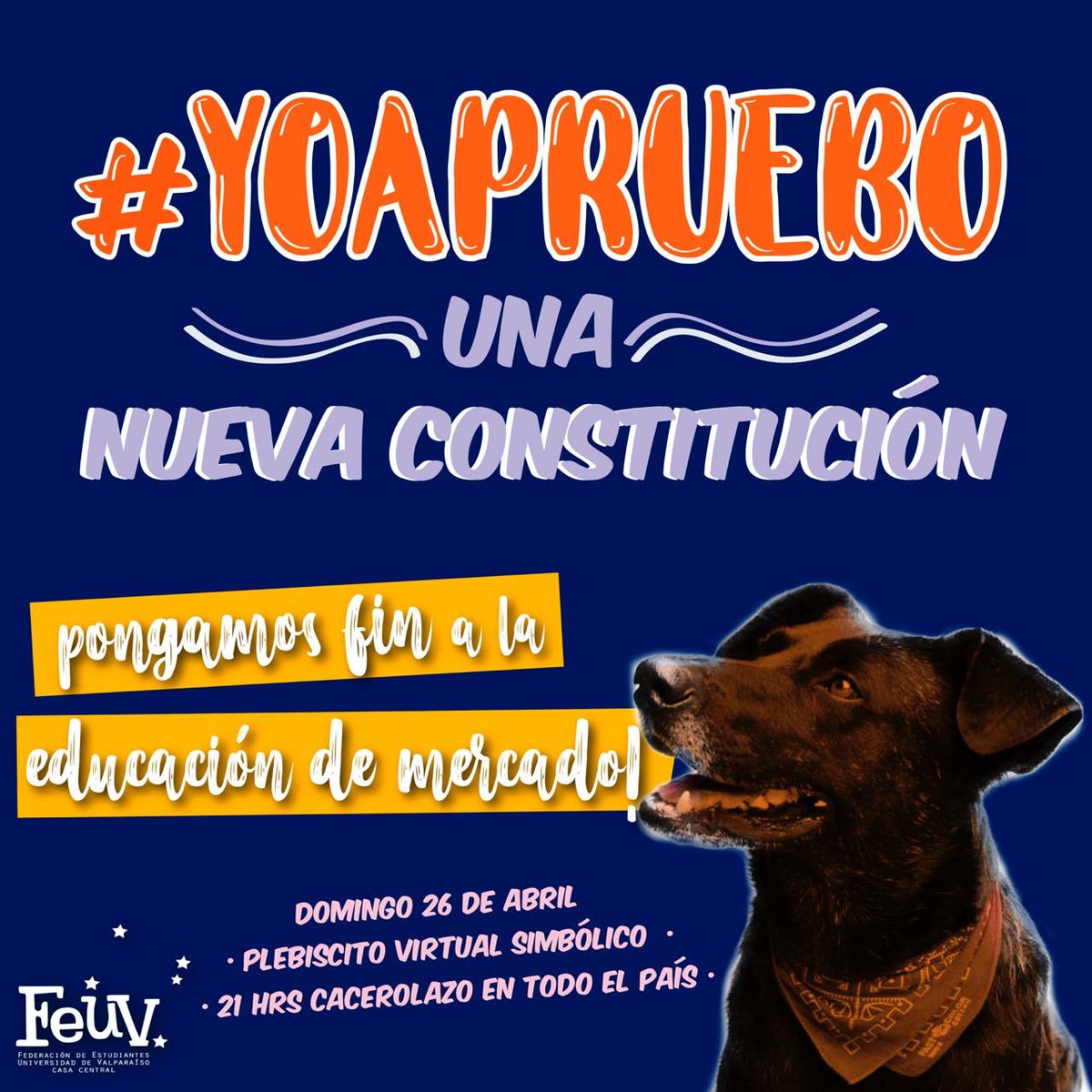 Mesa Ejecutiva FEUV tweet media