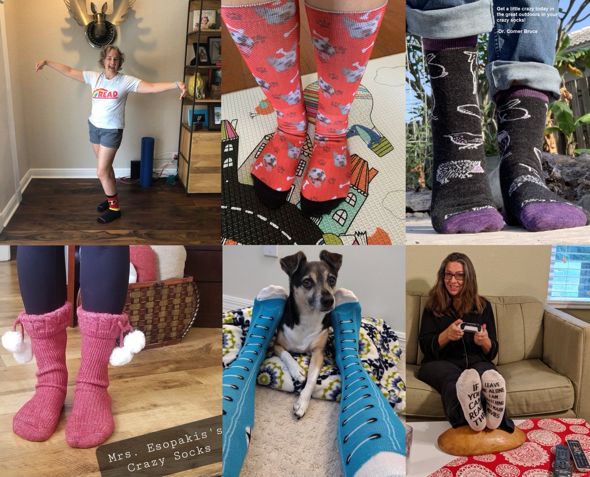 Palm Beach Virtual (@palmbchvirtual) on Twitter photo IT'S CRAZY SOCK DAY!!! Check out some of our AWESOME teachers today! Be sure to share or post your photos and tag us!! #PBVSRocks
Facebook - Palm Beach Virtual School
Twitter - <a href="/PalmBchVirtual/">Palm Beach Virtual</a>
Instagram - <a href="/PalmBchVirtual/">Palm Beach Virtual</a> IT'S CRAZY SOCK DAY!!! Check out some of our AWESOME teachers today! Be sure to share or post your photos and tag us!! #PBVSRocks
Facebook - Palm Beach Virtual School
Twitter - <a href="/PalmBchVirtual/">Palm Beach Virtual</a>
Instagram - <a href="/PalmBchVirtual/">Palm Beach Virtual</a>
