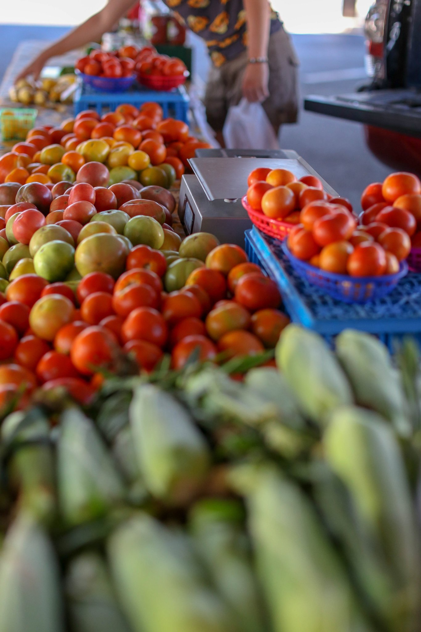 Bardstown, KY on Twitter "bardstownawaits Fresh veggies, fruits