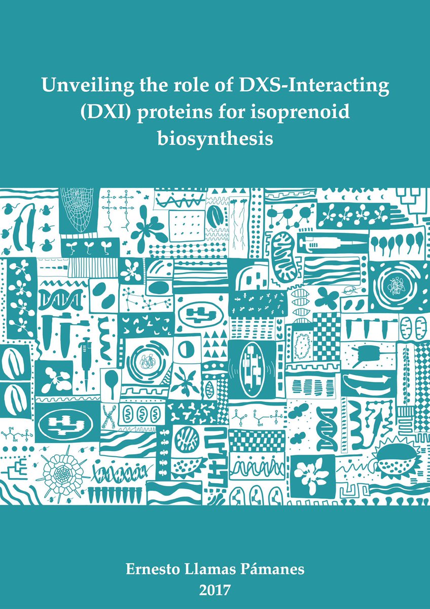 Sketching Science Ar Twitter Some Time Ago I Designed Some Covers For My Phd Thesis Which One Was The Selected One Which One Was Inspired By An Old Blanket Xd83dxde06 Https Tco Ackad0js5m