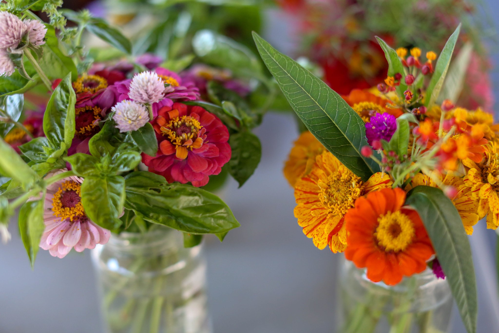 Bardstown, KY on Twitter "bardstownawaits Fresh veggies, fruits