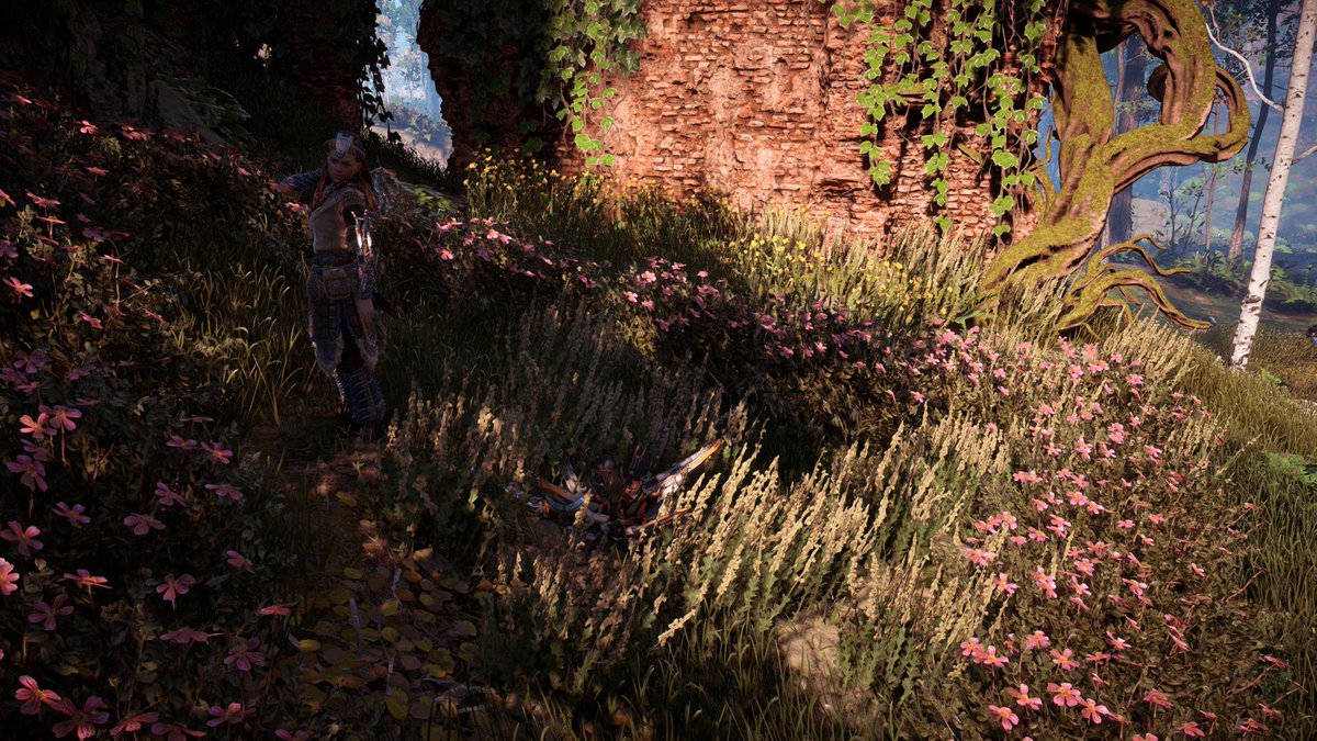 bdebeus's tweet photo. Flower #HorizonZeroDawn #PS4share https://t.co/K4eLsGJVfT
