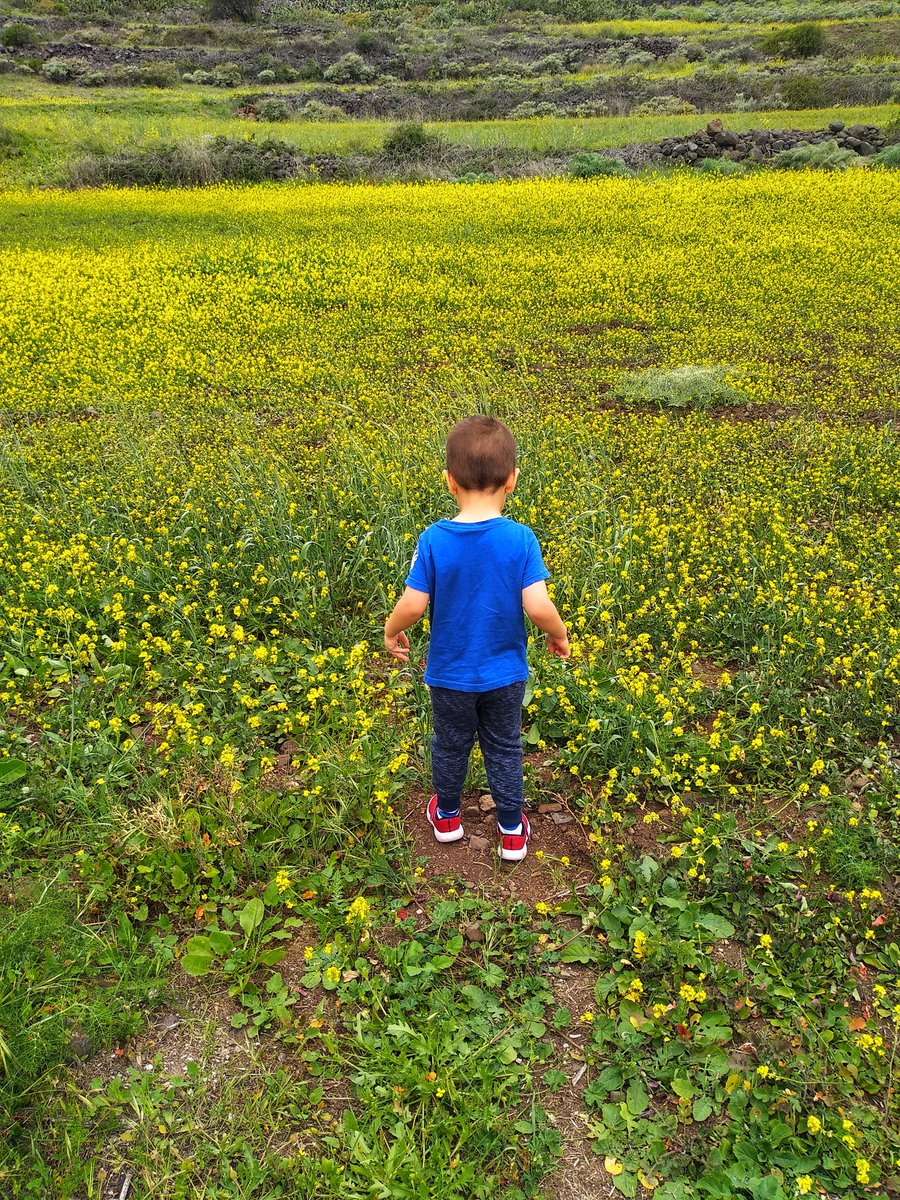Pues hemos salido por primera vez a la calle. Somos de los afortunados que podemos salir sin el estrés de estar pensando en el distanciamiento. #ninosalacalle