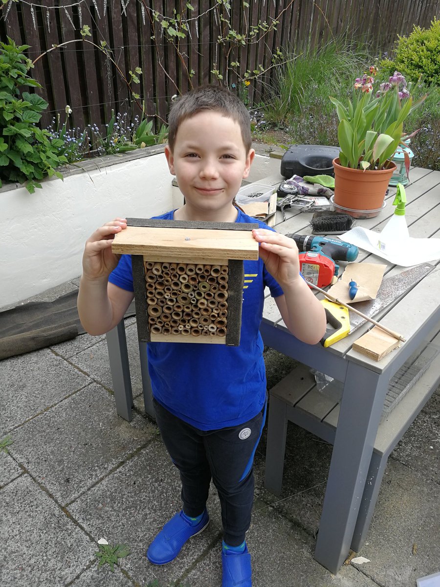 Function over aesthetics. We made a bee house today at 'home school' - problem-solving, maths, woodwork. I just about passed!