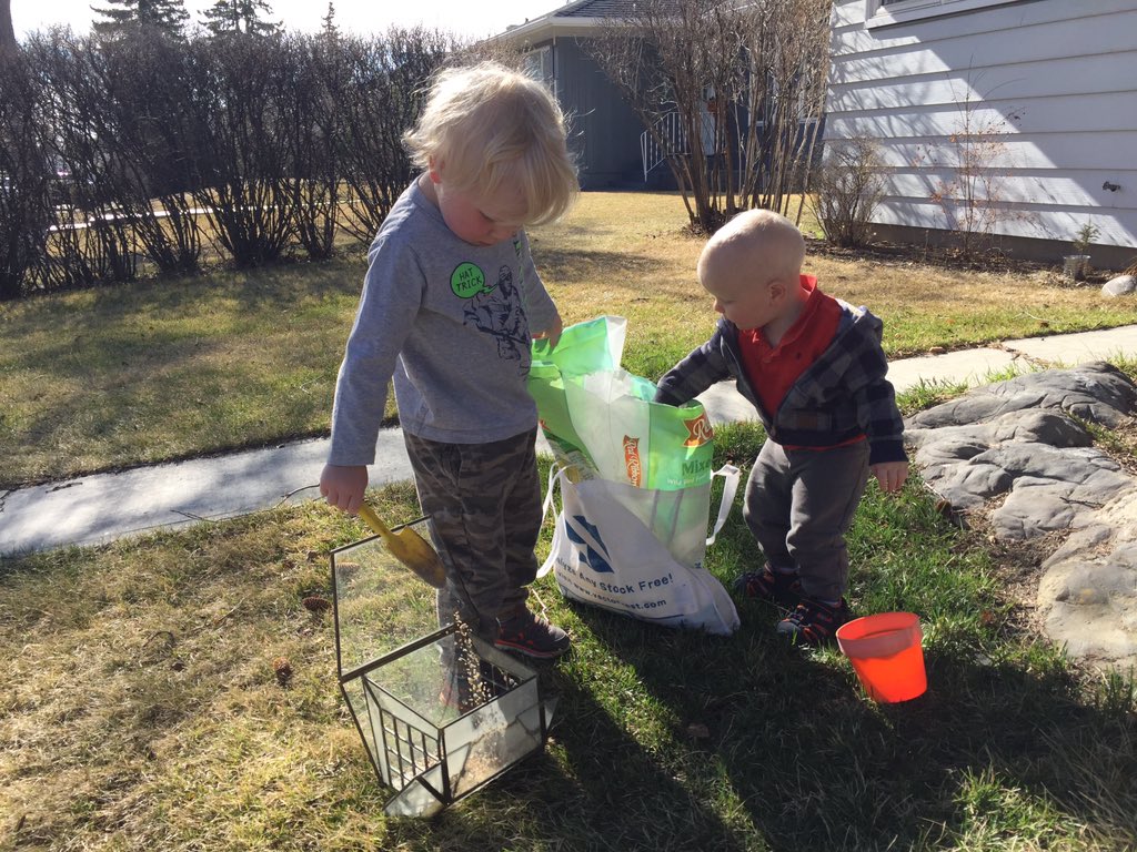 YYCisolation tweet media