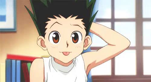 Animatoons on X: Hunter x Hunter não acabou. A participação do Gon  provavelmente sim mas Hunter x Hunter é muito mais que a história do Gon  atrás do Ging.  / X