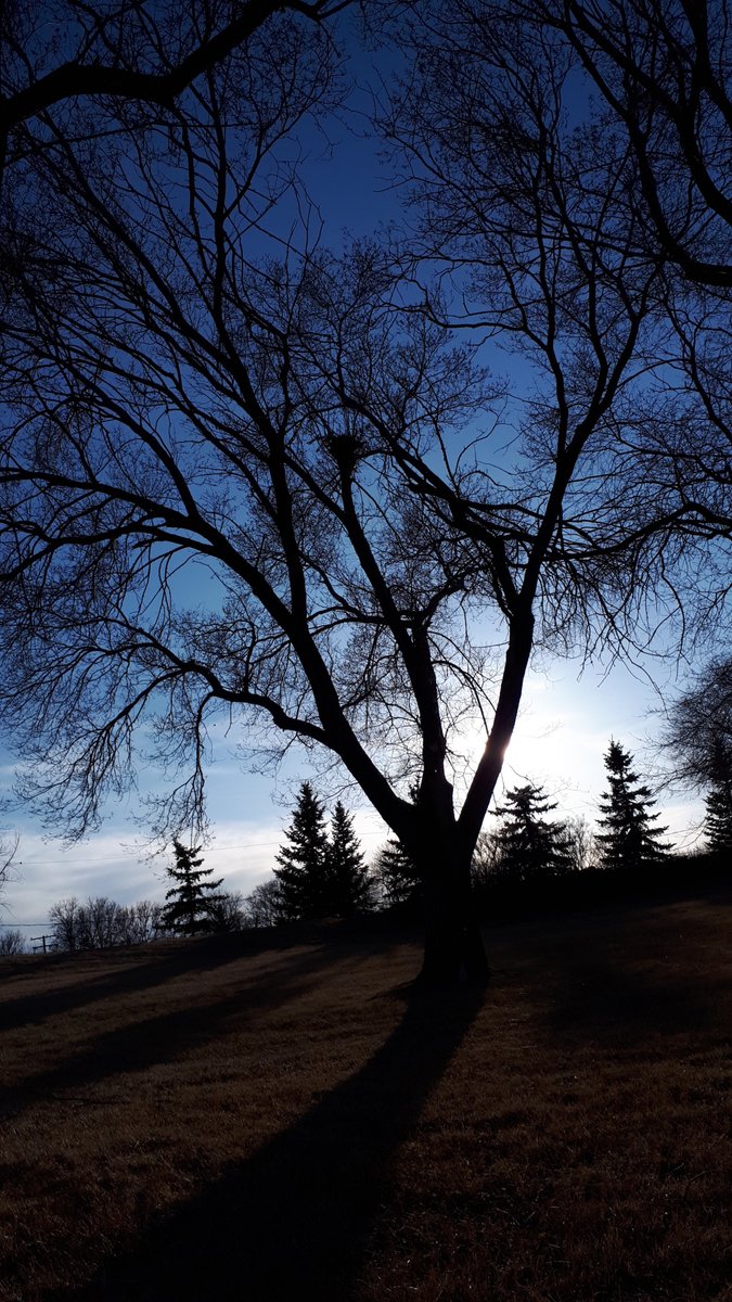 Adrea Made tweet media