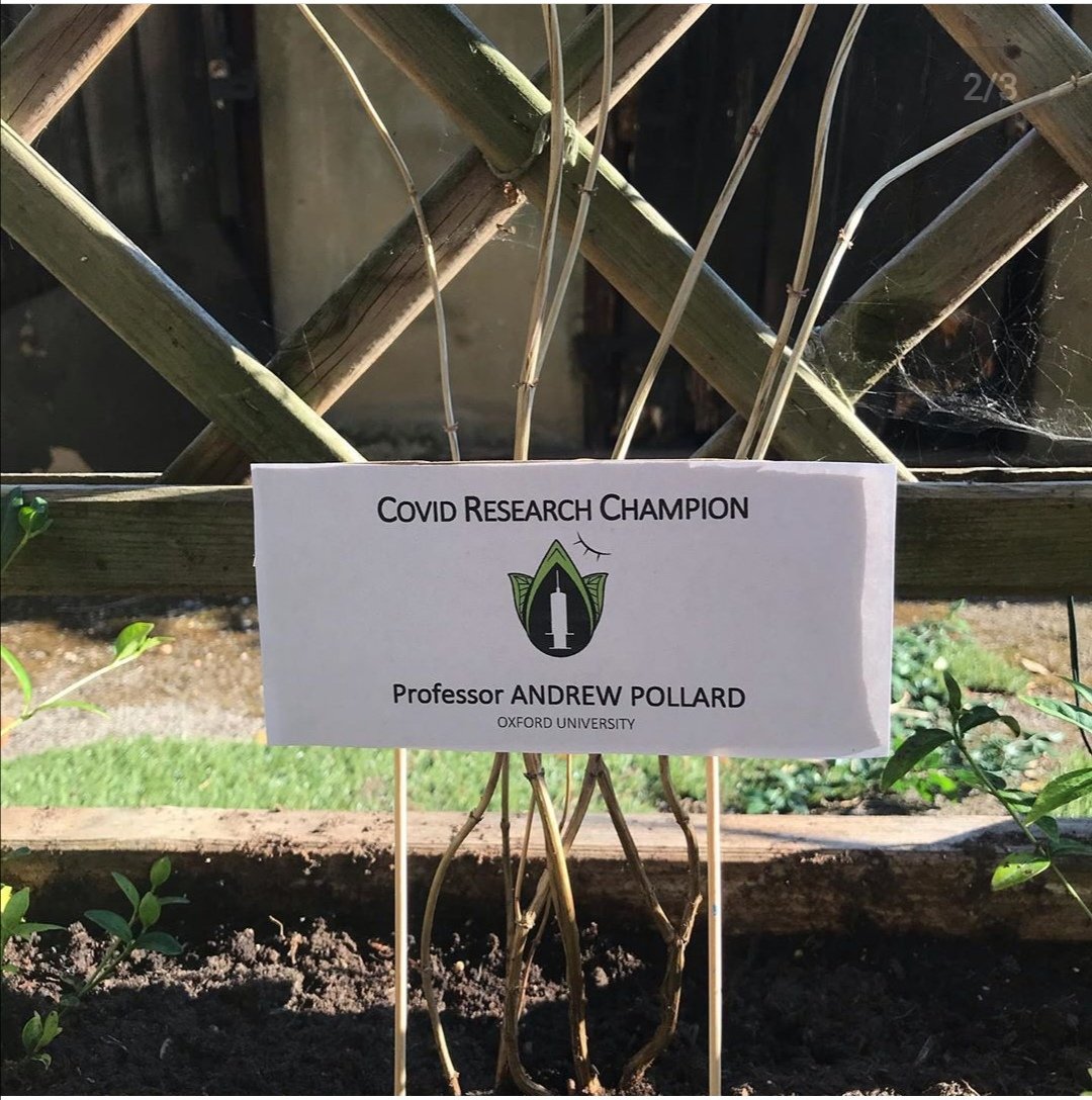 Andrew Pollard Ajpollard1 Twitter