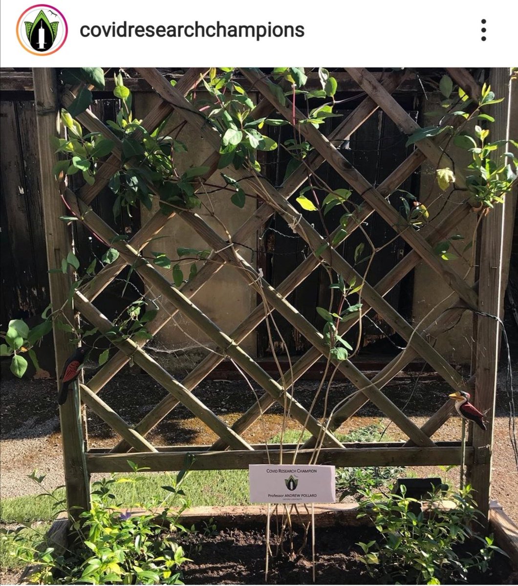 Andrew Pollard Ajpollard1 Twitter