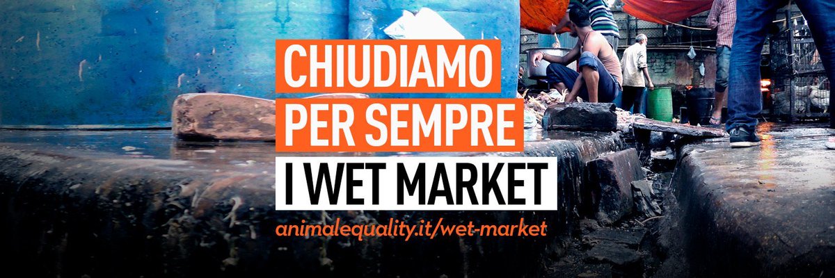 CARMENRIZZELLO's tweet photo. Bisogna chiudere i wet market! @UN #letsbanwetmarkets
⚡️ FORZA! È ARRIVATO IL MOMENTO DI FAR SENTIRE LA VOCE DEGLI ANIMALI! ⚡️ https://t.co/K0KRyu4mYq