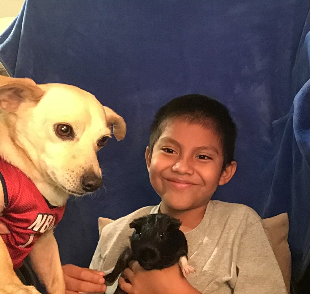 CrystalL239's tweet photo. Our first day of Spirit Week! Here with my awesome pets Rexy and my guinea pig Oreo helping me with my eLearning @collierschools #CCPSProud @GGEseagulls @MissHayesGGE 🐕 🐖 https://t.co/q8xCxbkbAf