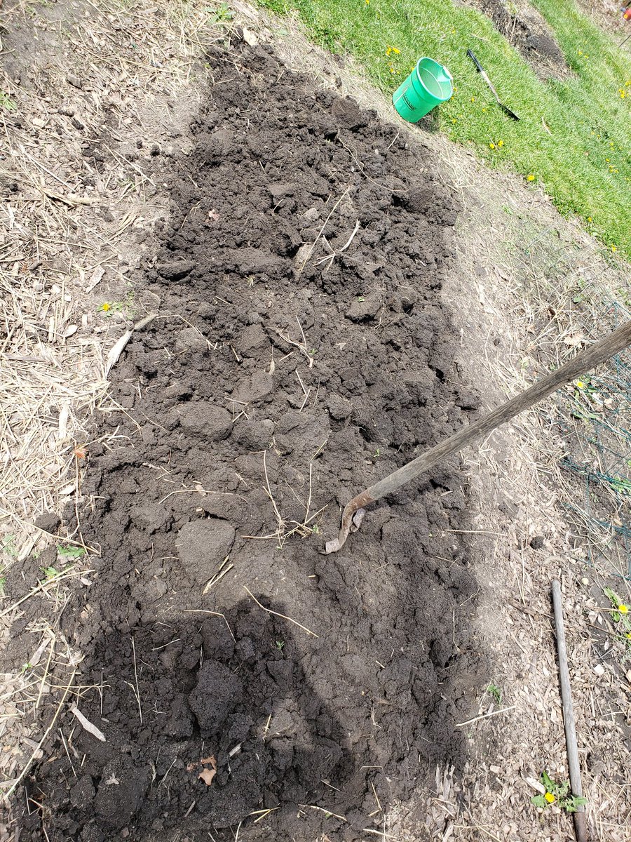 TonyKlein13's tweet photo. ooh, it's so nice
I wanna dig the
same bed twice
#doubledig https://t.co/hb0oMMYvSk