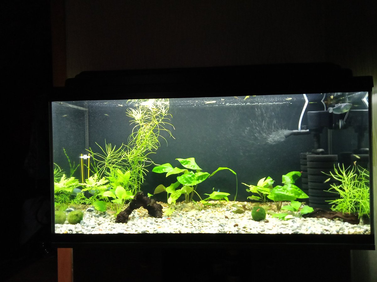 200 литров. 12 дней после запуска, полёт нормальный.