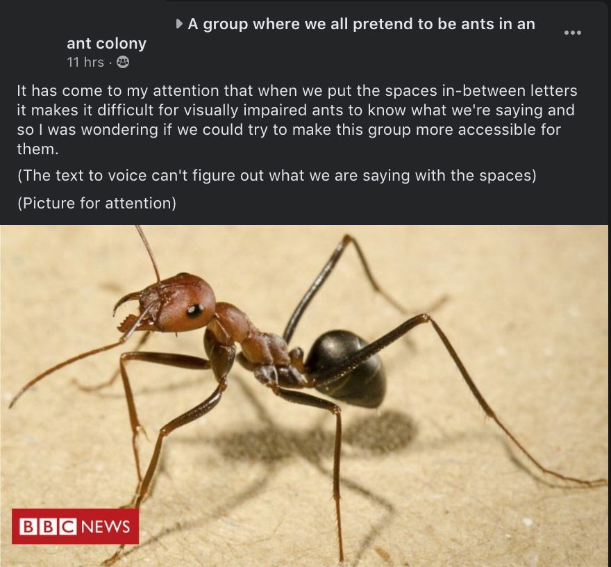 KeilidhBradley's tweet photo. ant group remains the only reason I use facebook https://t.co/2FVEA4MGaB