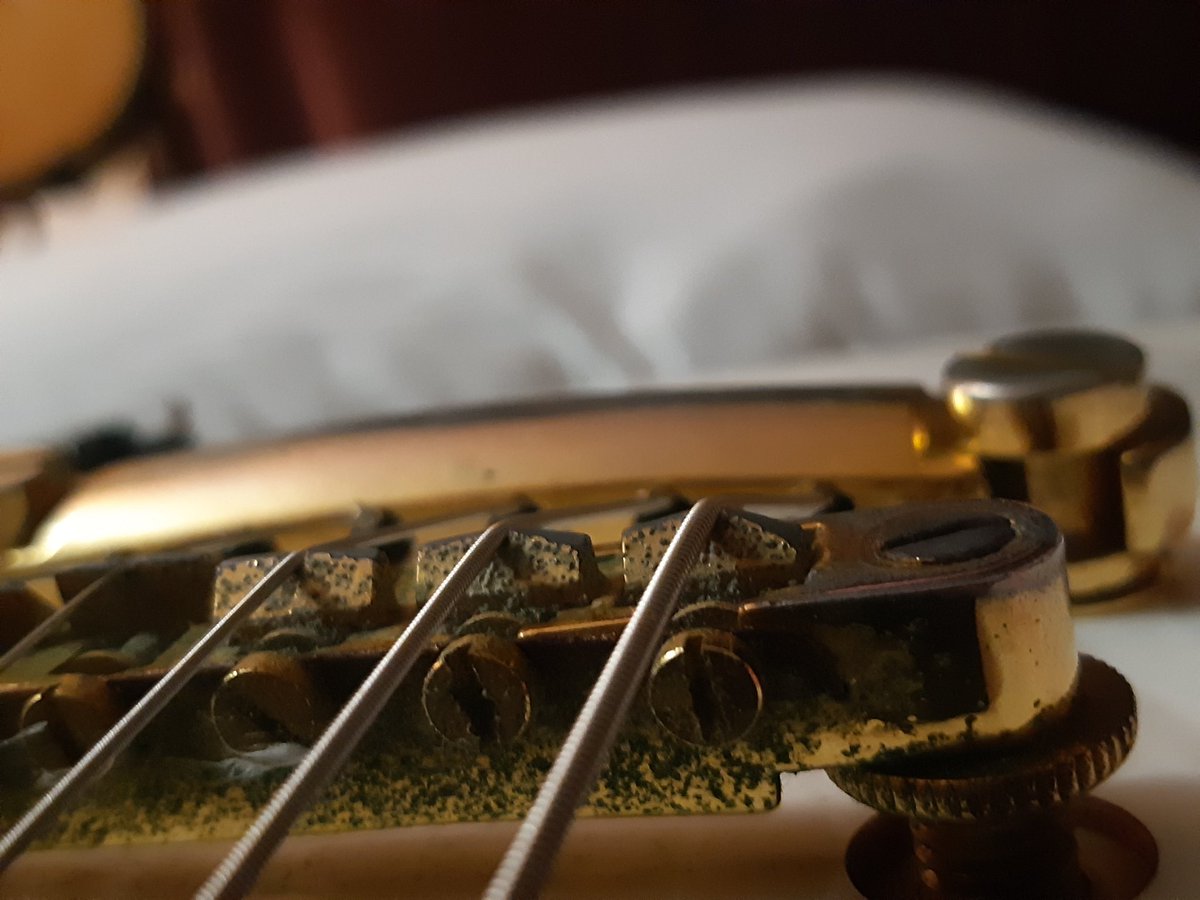 PatientJB's tweet image. #PhotosOfMyLife Day 1
Every day a photo. One week. No people, no explanations. Everyday one invitation to contribute.
Invited by: @atrocityx

Today's nomination @GHOULSonly