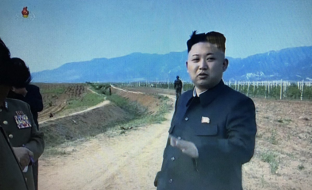 You’re never more than a few minutes away from a Kim on Central Television. Now it’s 2013 Kim visiting a farm. They can (and do, on a daily basis) fill whole days with this stuff.