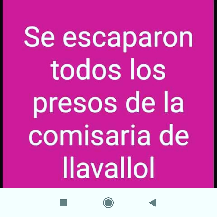 leechimerch's tweet image. 