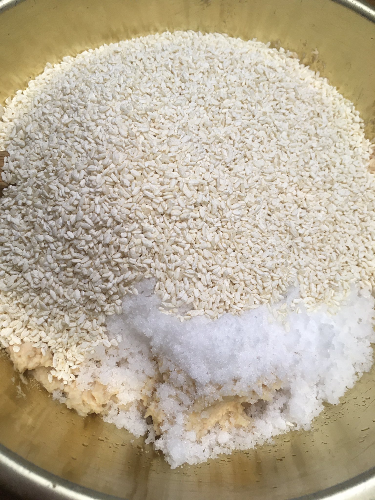 りい りいのすけ 簡単な味噌作り でもやたらに美味しいです こんな時だから 酵素たっぷりの自家製味噌を 簡単味噌レシピ 米麹1キロ 塩400 大豆600g 大豆を圧力釜で柔らかくして潰したら塩と麹を入れて 耳たぶ位の柔らかさに 水入れる ジップ