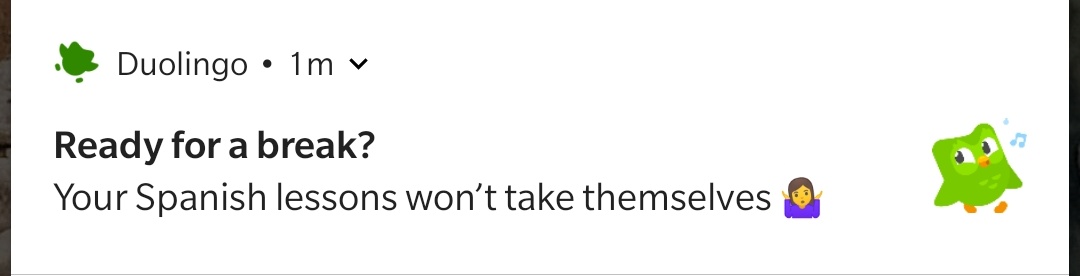 Noella2312's tweet photo. @duolingo sounds like my mom... :D
Good one though... https://t.co/qA2lWdiM6W