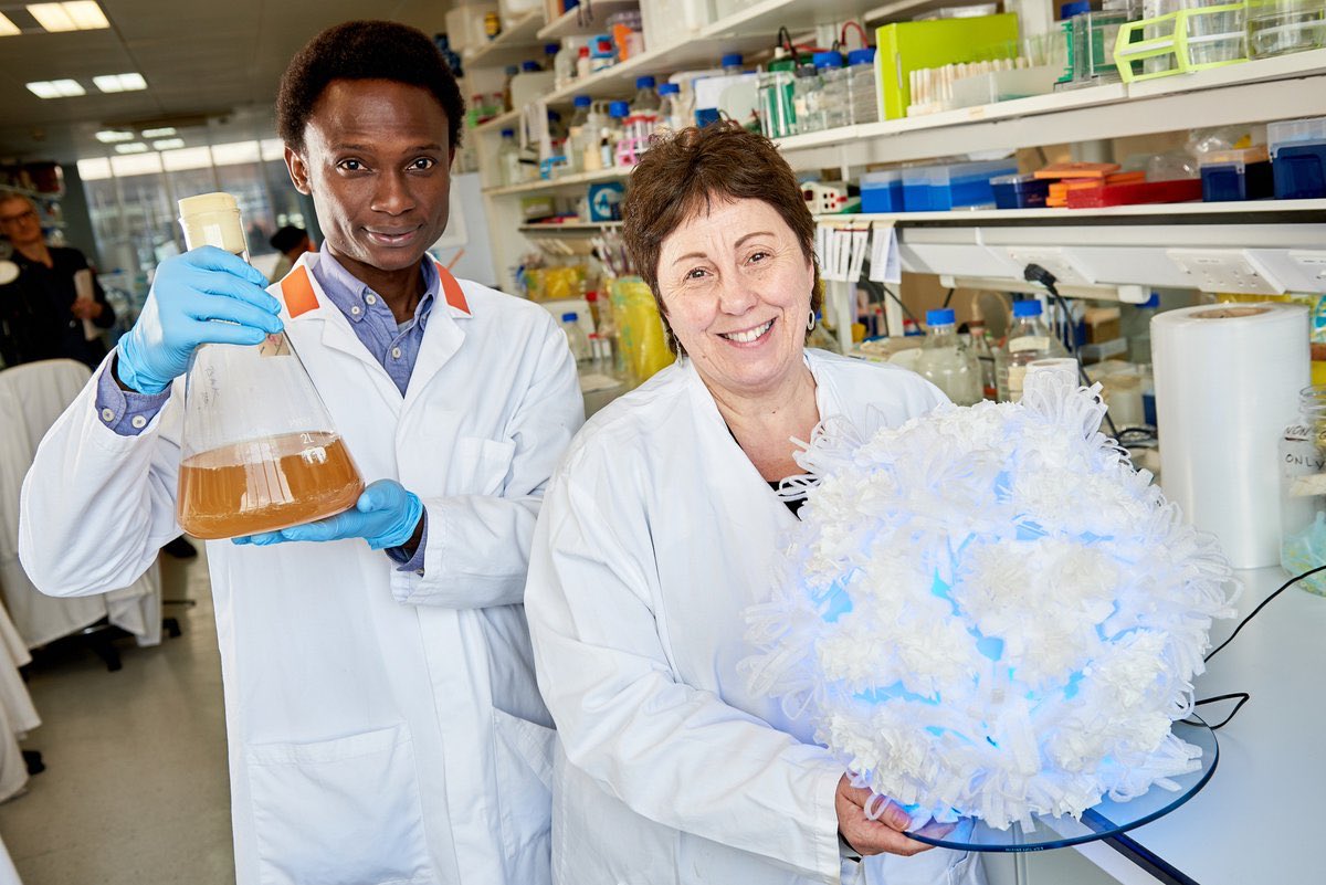 Dr Jess Wade liked it here once tweet media