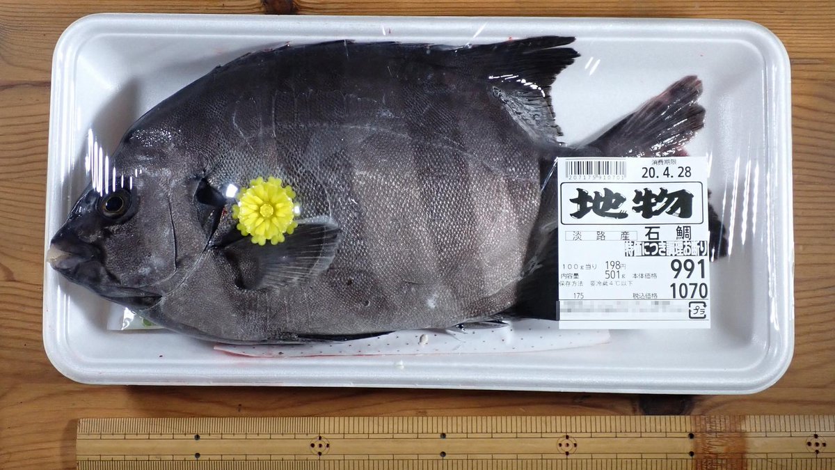 ট ইট র Sawagani550 年4月26日購入 石鯛 これもこのスーパーでは稀 普段 雑魚しか買わない僕がついにこんな高級魚 を ふんぱつ お造り づけ あらだきで堪能した イシダイの顔はくちばしがかわいいけどこわい 噛まれたくない たまねぎ島の
