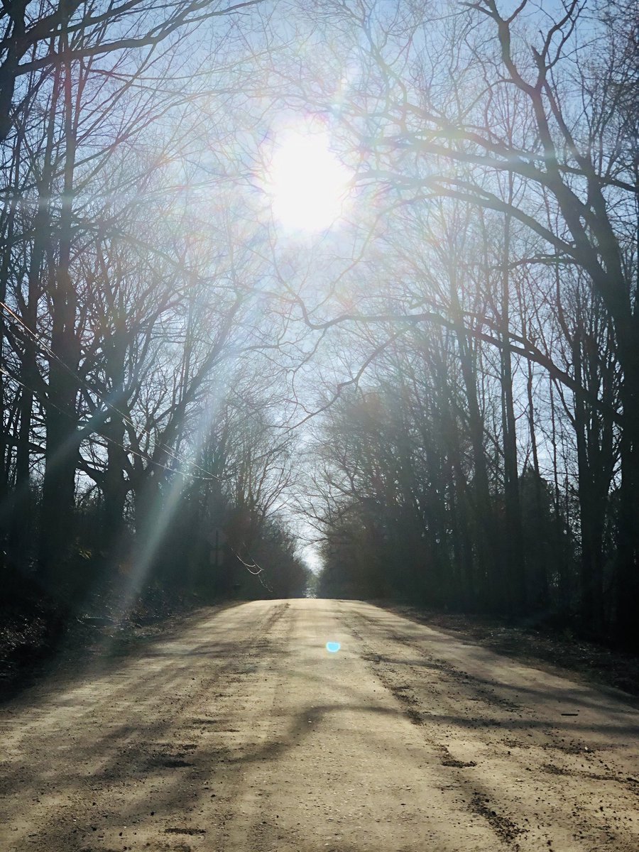 313Knuckles's tweet image. Affirmations and vibes this morning