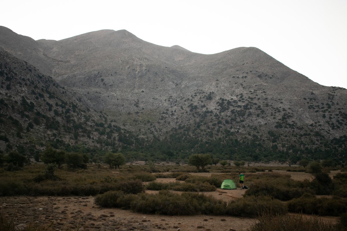 WildGuideGreece tweet picture