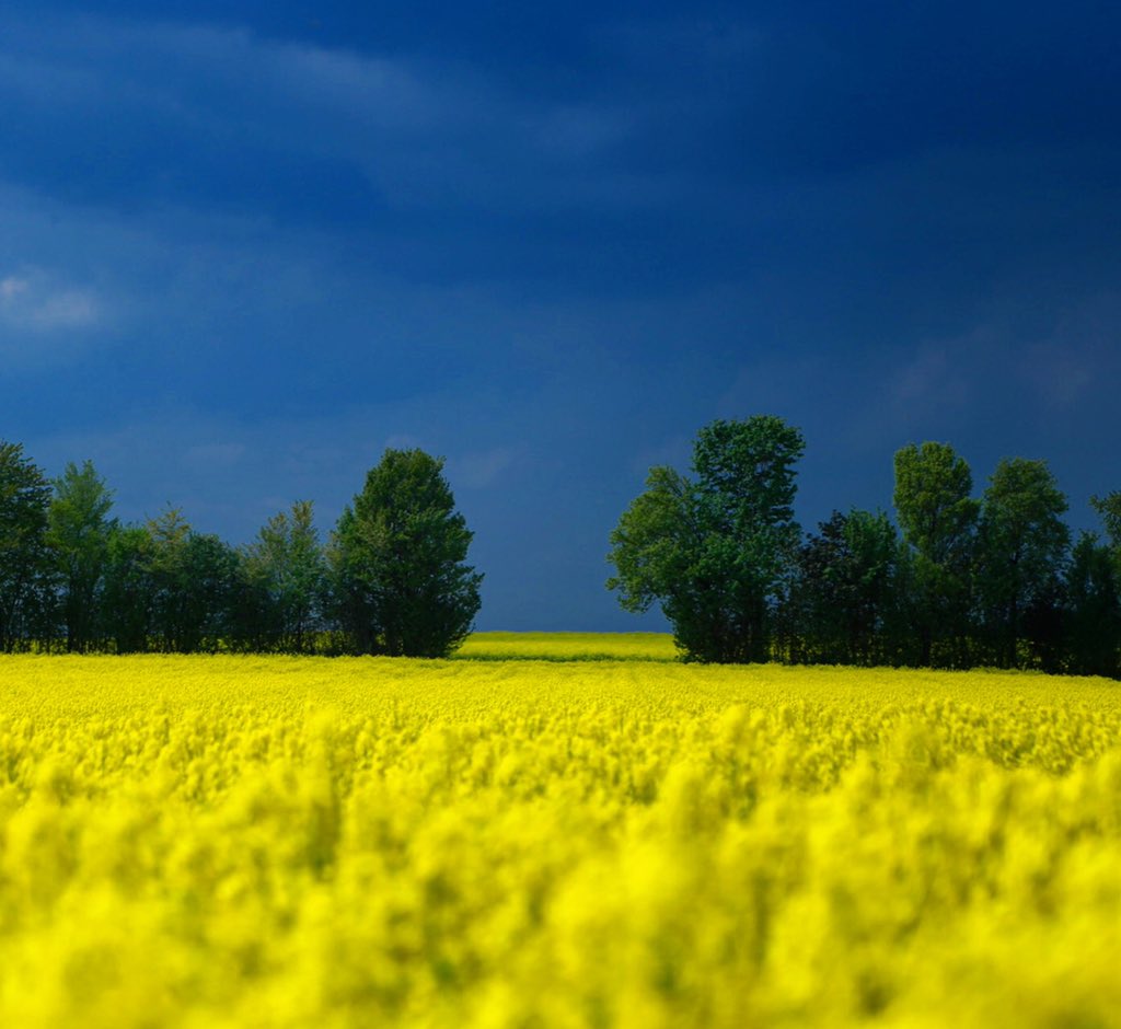 Fırından taze çıktı gençler. Bizim köyden bir kare. 3-4 gündür uygun ışığı kolluyordum ve nihayetinde bu fotoğraf nazara verdi kendini 😊😊 bu fotoğraf çok şey anlatıyor görebilene hissedebilene... yorumlarınızı bekliyorum...