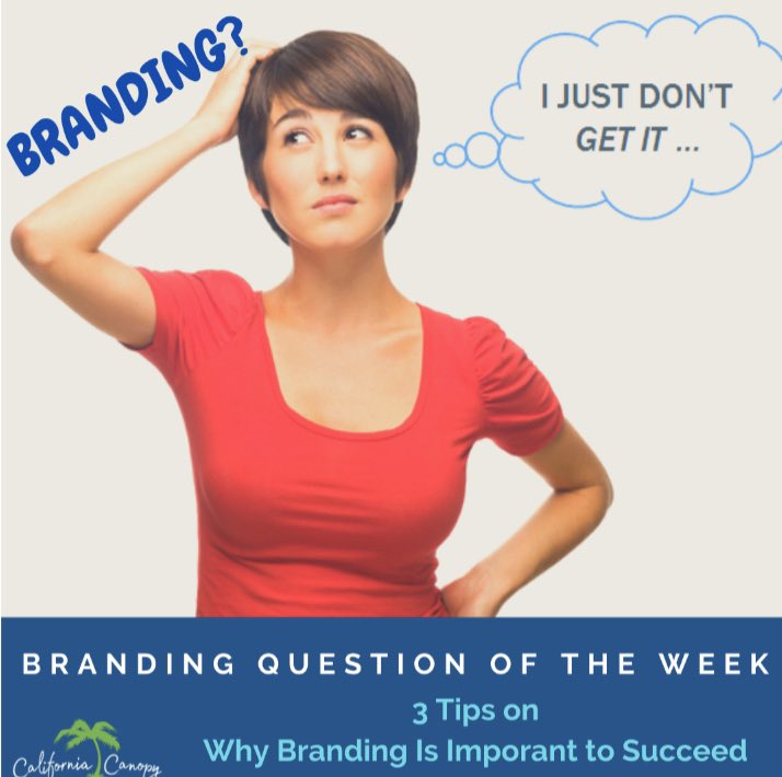 California Canopy tweet media