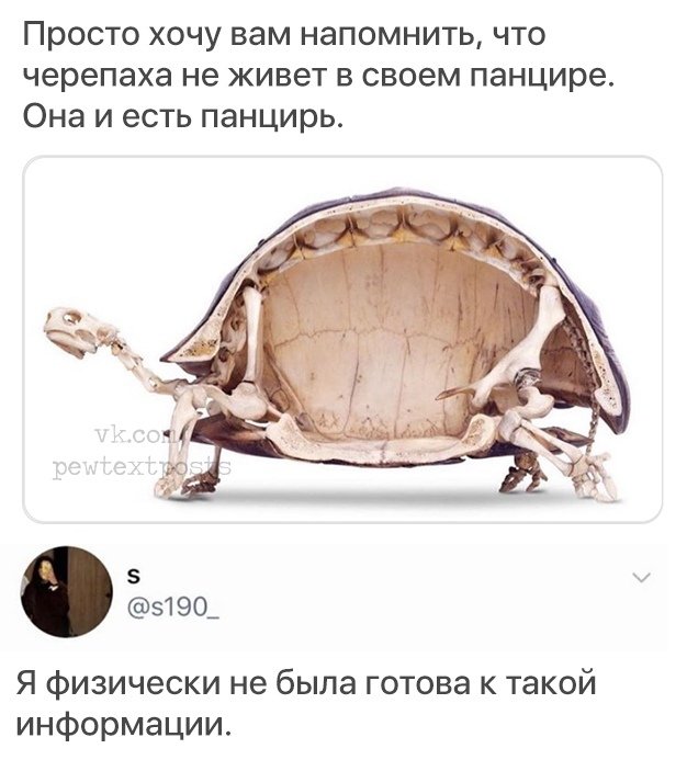 Spring_Twister's tweet image. собственно, я тоже