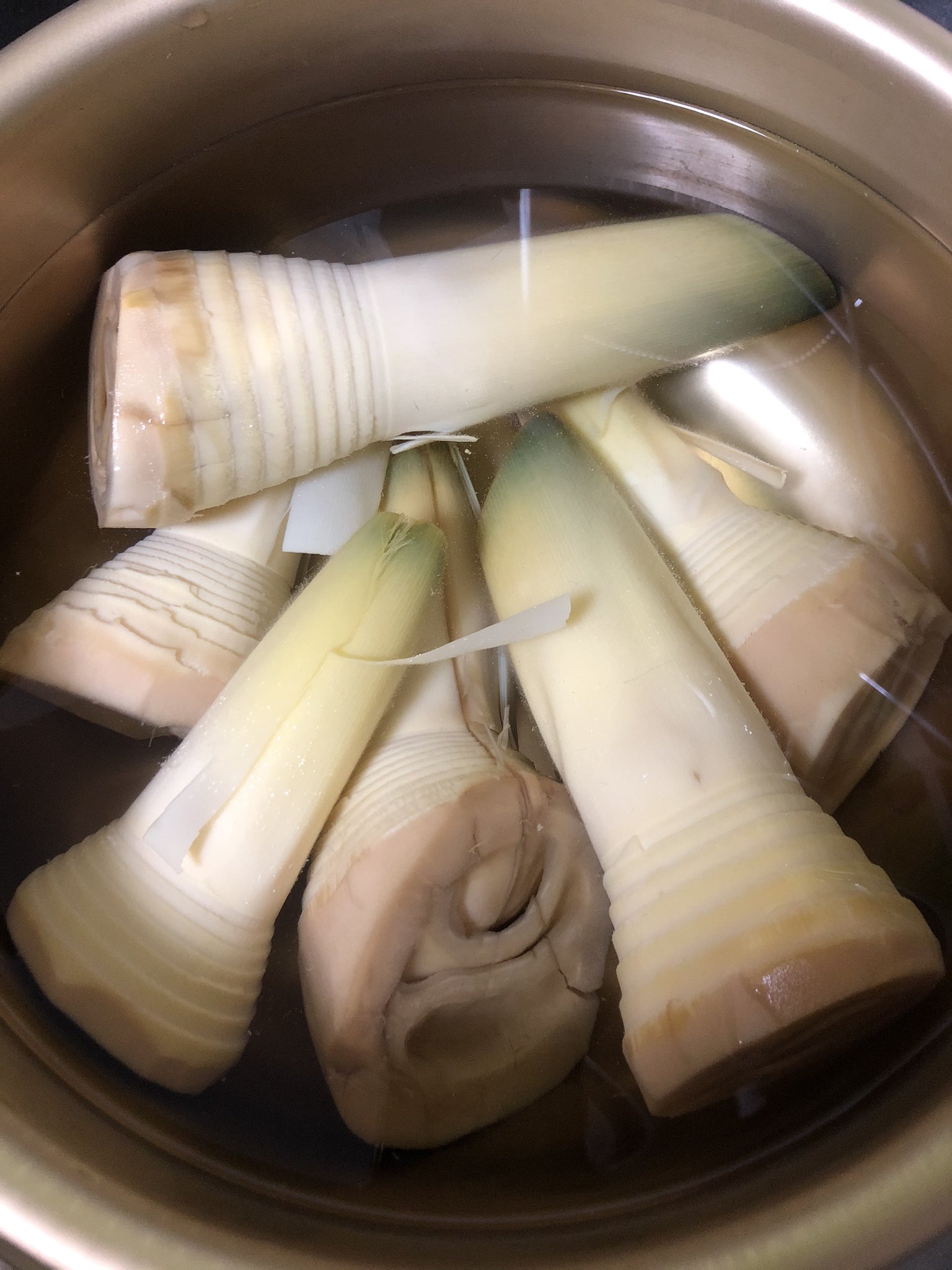 あられ 今朝の竹の子が こーなりましてんけど 色悪いんは重曹いれすぎ 放置しすぎ でも超柔らかくて皮まで食べれそうな感じやからどこまで剥くべきなのか分からん あられ 今朝の竹の子が こーなりましてんけど 色悪いんは重曹いれすぎ 放置しすぎ でも超柔らかくて皮まで食べれそうな感じやからどこまで剥くべきなのか分からん