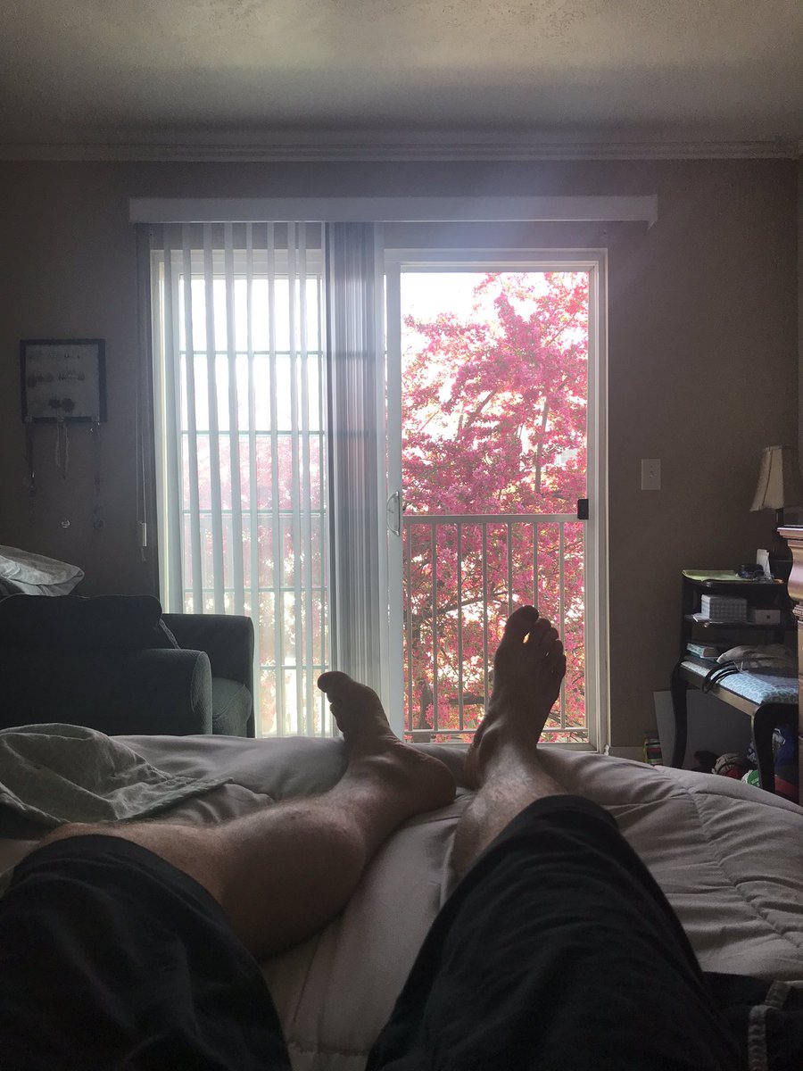 BenKroff's tweet photo. Open windows, blossoms, chirping birds and cool breezes. #themostwonderfultimeoftheyear https://t.co/cucbvOAQc5